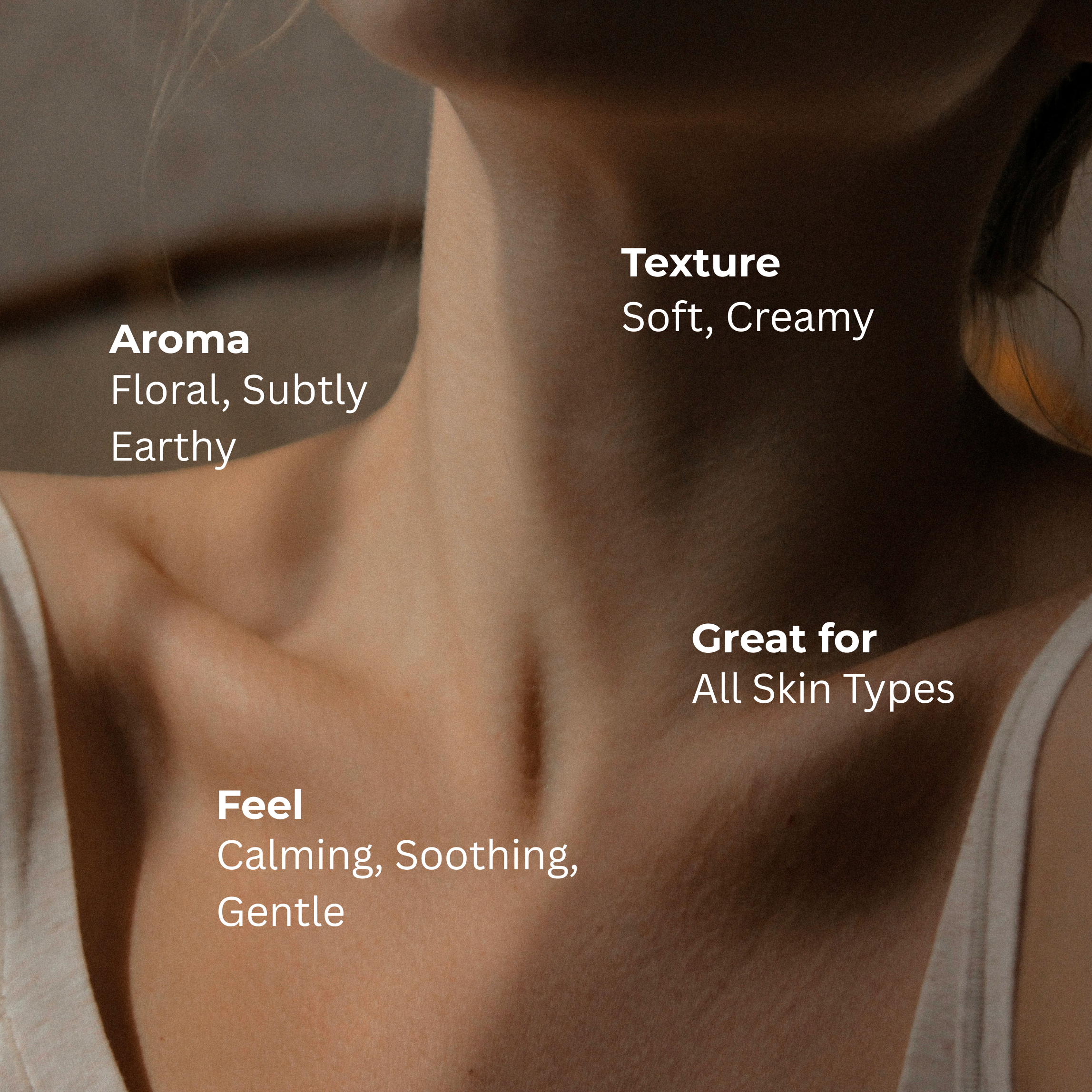 LAVENDER | HANDCRAFTED COLD PROCESSED SOAP