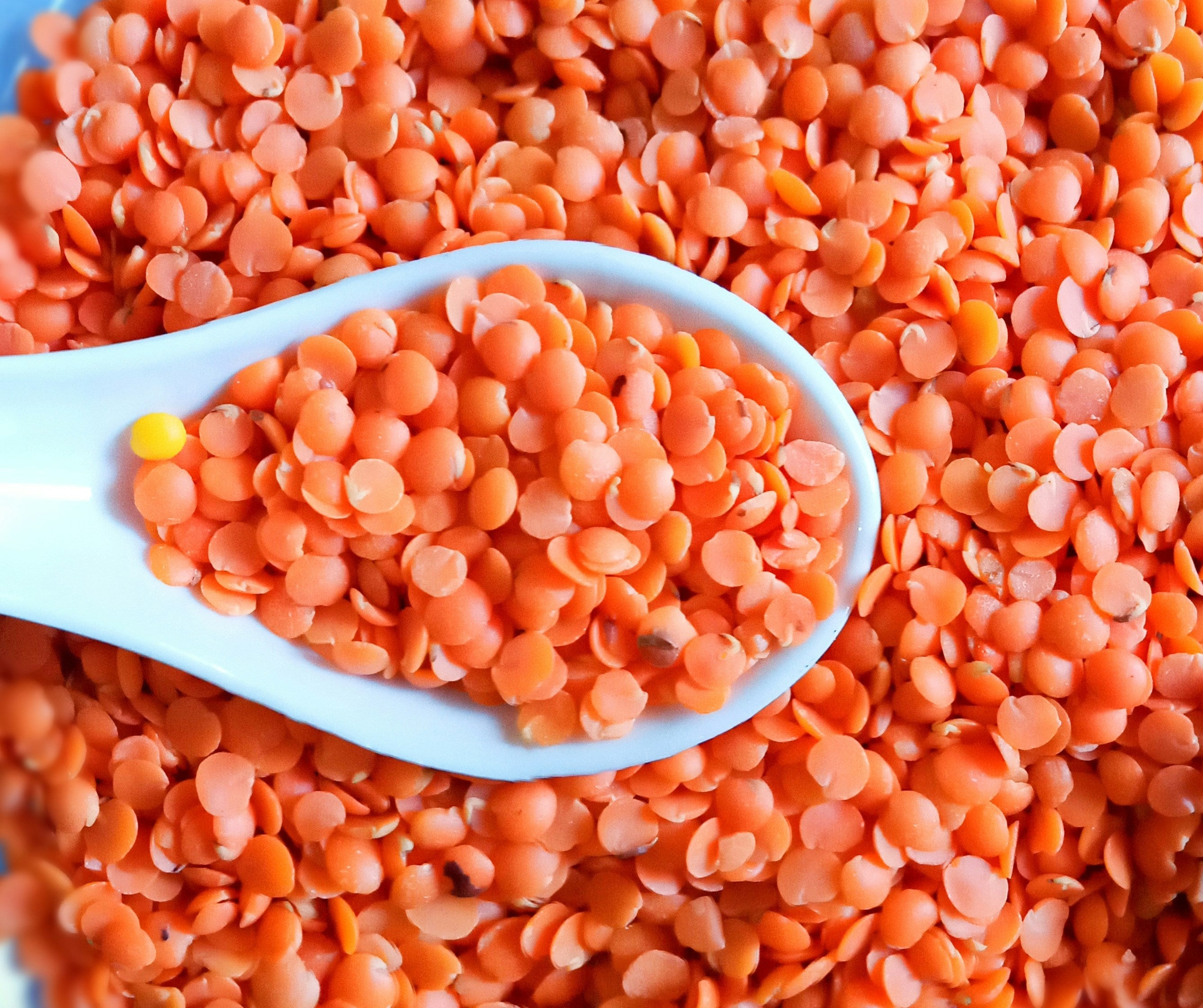 Why Masoor Dal (Red Lentil) Has Been Used in Indian Skincare for Centuries