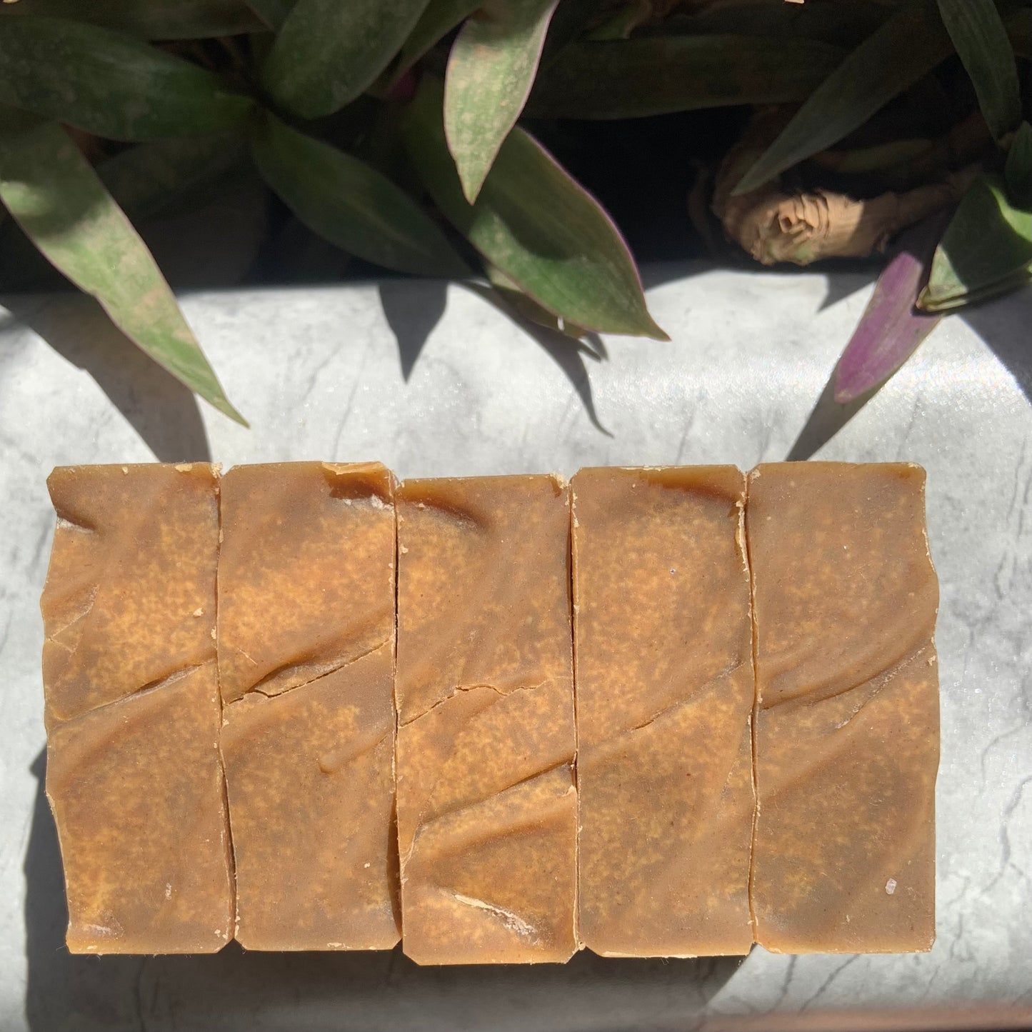 NEEM & EUCALYPTUS SOAP BAR [Cold Processed | Handcrafted | Organic | Artisan]