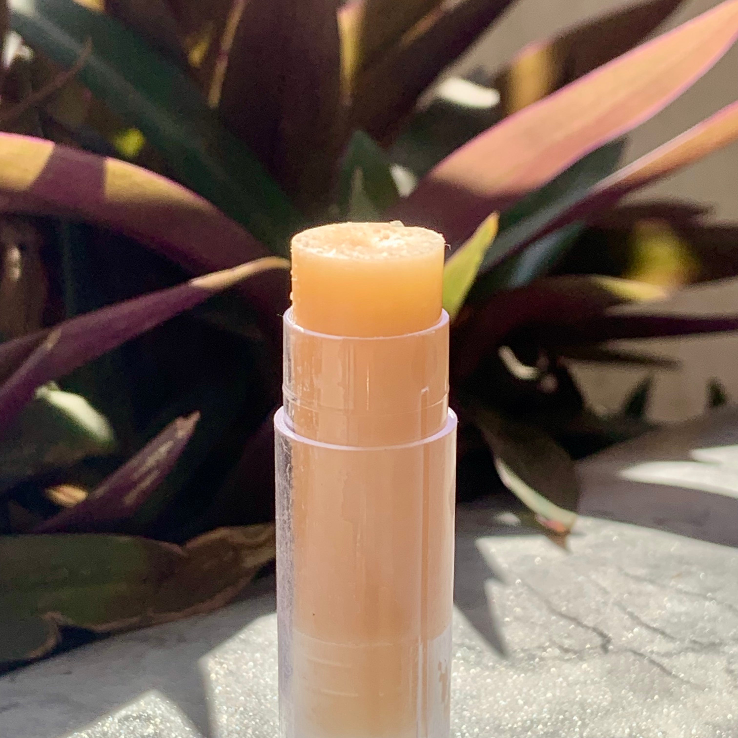 Shea Butter Lip Balm with Vanilla Extracts