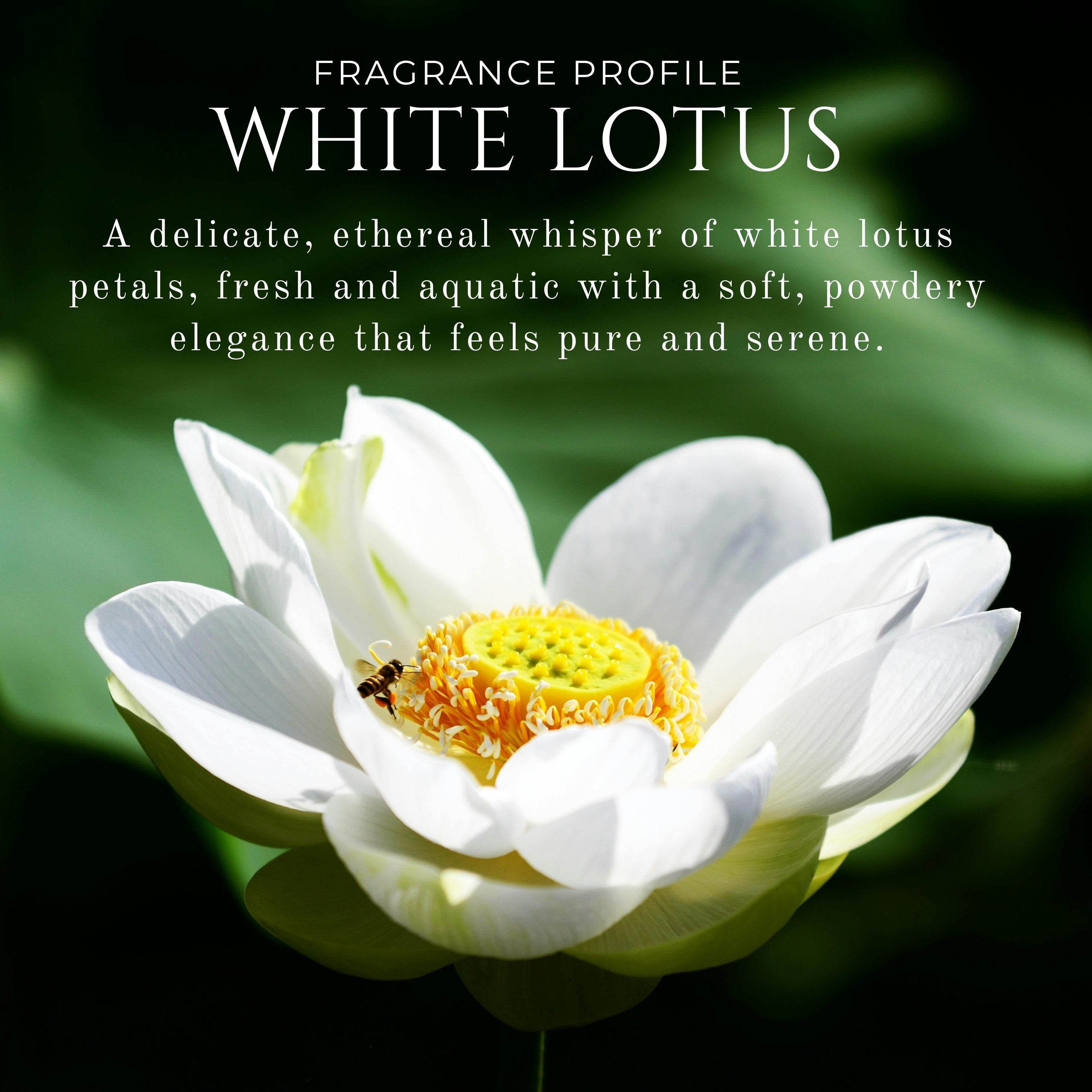 Solid Perfume White Lotus